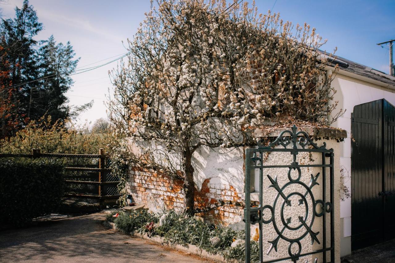 Brookhall Cottages Lisburn Exterior foto